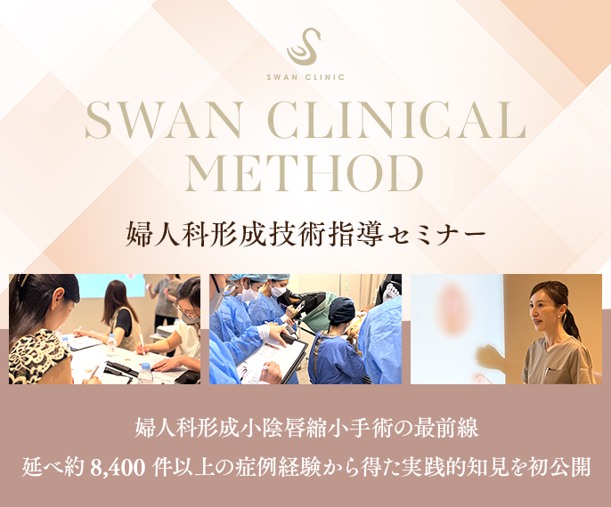 婦人科形成技術指導セミナー　婦人科形成小陰唇縮小手術の最前線 延べ約8,400件以上の症例経験から得た実践的知見を初公開