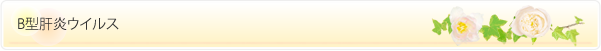 B型肝炎ウイルス
